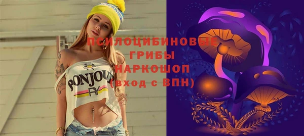 mix Аркадак