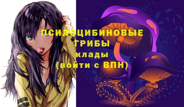 ешки Армянск